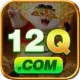 12q Game VIP v3.6.1